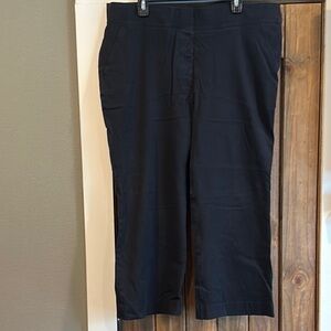 SPANX Black Cropped On-The-Go Pants
